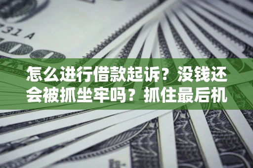 北京怎么进行借款起诉？没钱还会被抓坐牢吗？抓住最后机会！
