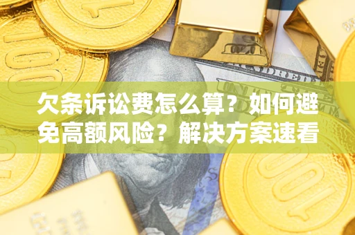 北京欠条诉讼费怎么算？如何避免高额风险？解决方案速看！
