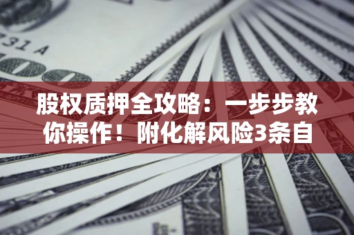 北京股权质押全攻略：一步步教你操作！附化解风险3条自救法则