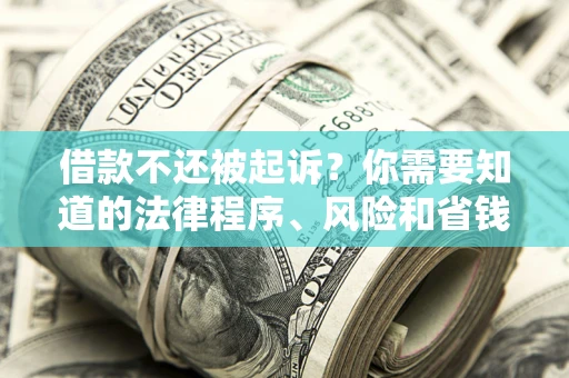 北京借款不还被起诉？你需要知道的法律程序、风险和省钱技巧